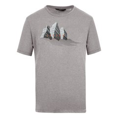 Чоловіча футболка Salewa Lines Graphic Dry Men's T-Shirt, Grey, 54 / 2X (280650625)